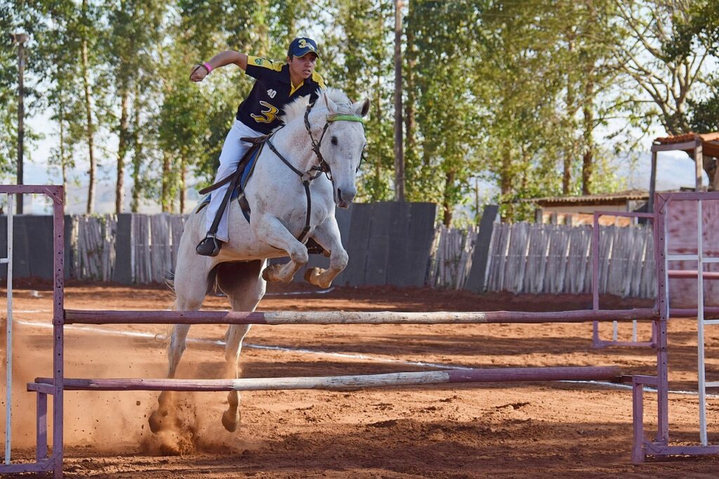 horse, equine, mammal-4561007.jpg