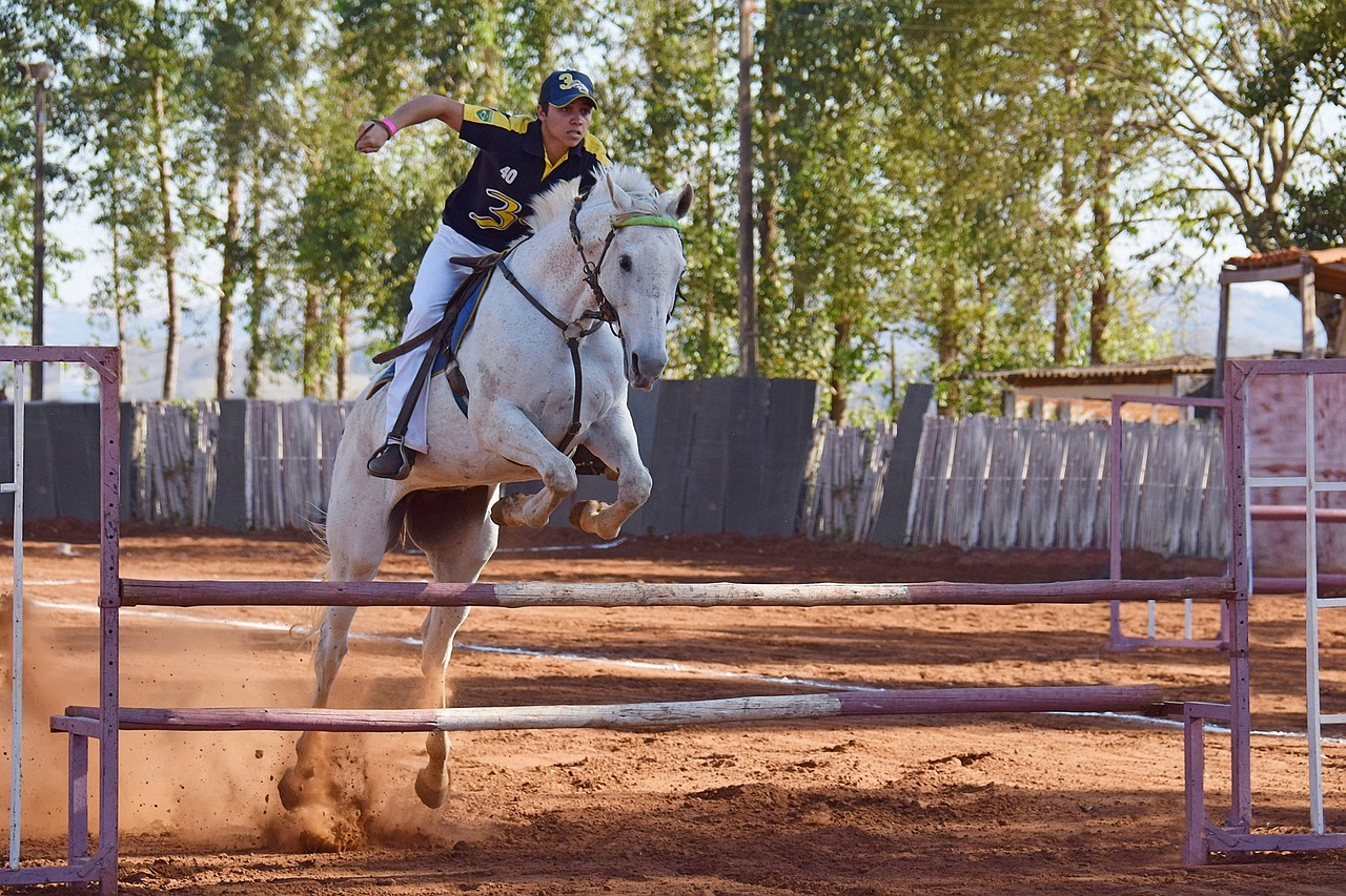 horse, equine, mammal-4561007.jpg